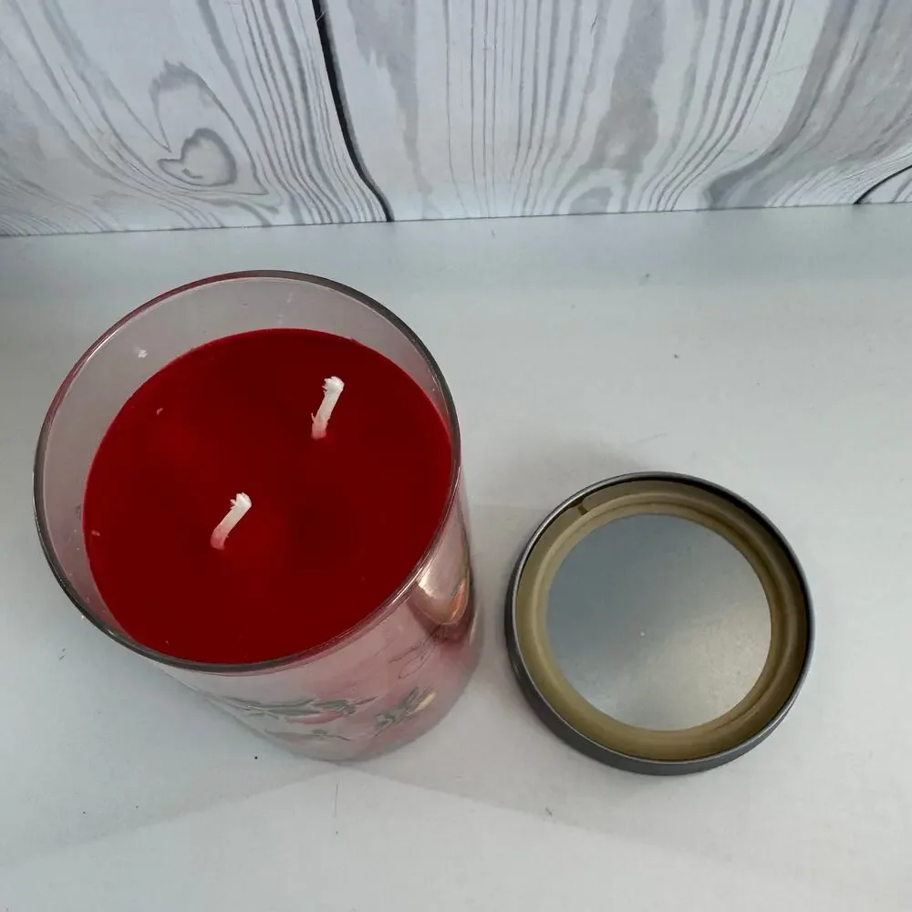 YANKEE CANDLE 20 OZ 2-WICK MACINTOSH CANDLE IN DECORATOR JAR New